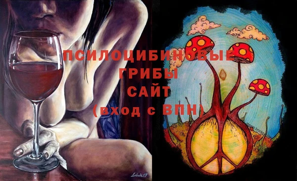 твердый Дмитров