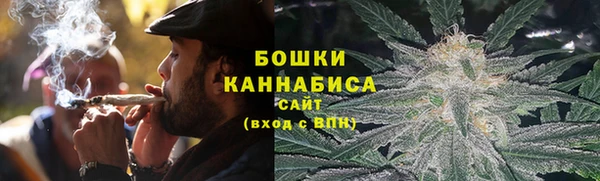 2c-b Белокуриха
