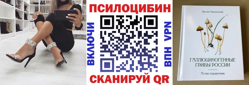 хочу наркоту  Болохово  кракен как войти  Псилоцибиновые грибы прущие грибы 